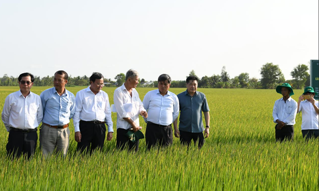 Đề án 1 triệu ha lúa chất lượng cao, phát thải thấp: Khởi tạo phương thức sản xuất nông nghiệp mới (23/07/2024)